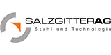Salzgitter AG - Referent Klimaschutz und Energieeffizienz (w/m/d) 